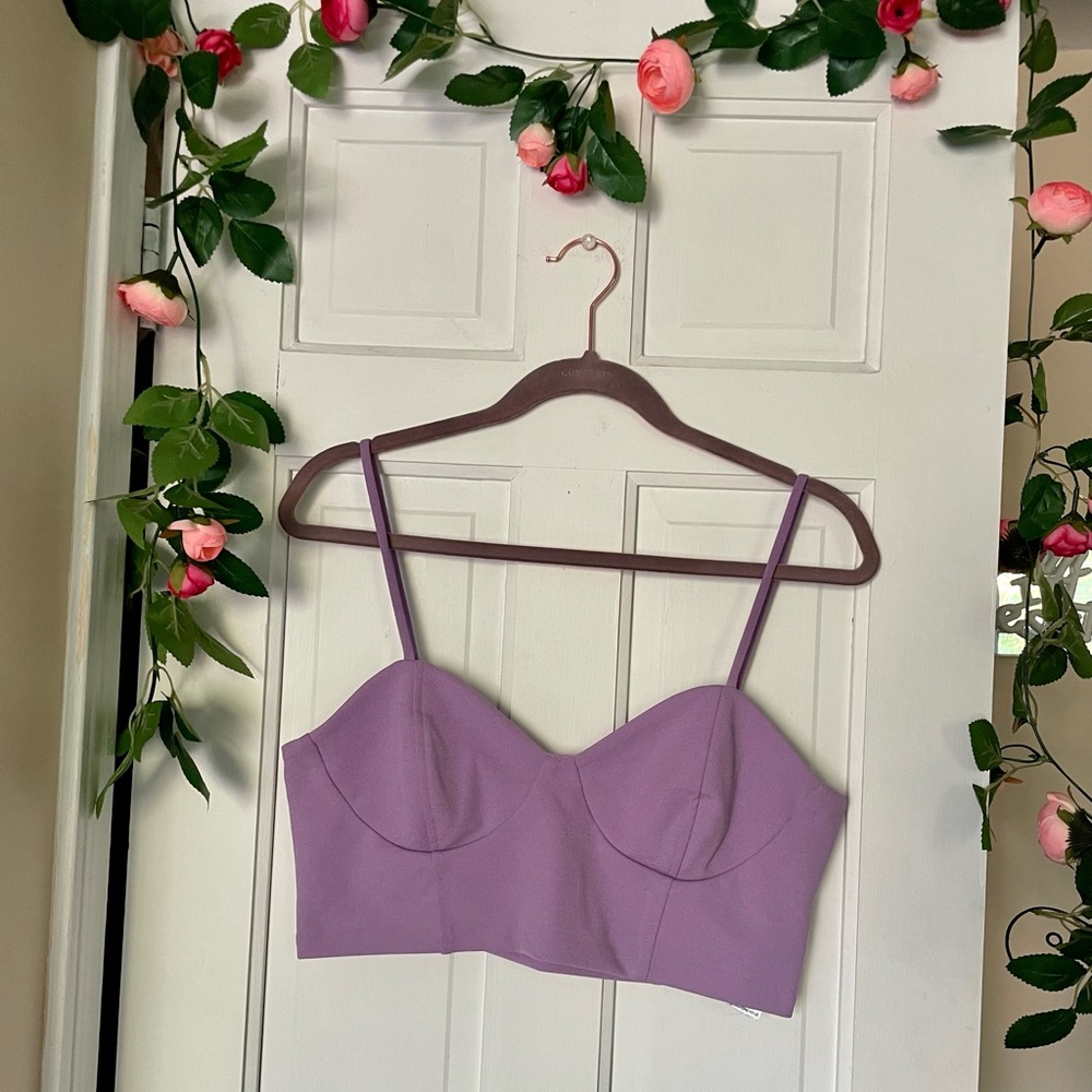 Zara Bustier Crop